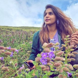 Traveller, Interior Designer, Stylist